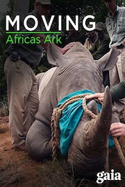 Moving Africa's Ark