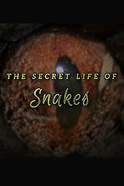 The Secret Life of Snakes