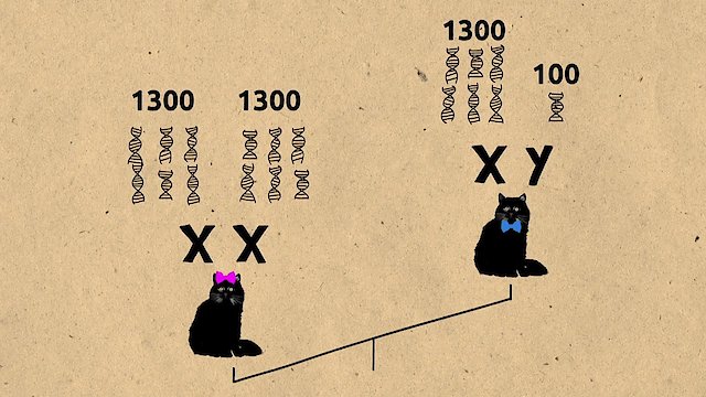 Watch Our Genes Under Influence Online