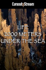Life 2,000 Meters Under The Sea