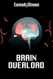 Brain Overload