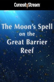 The Moon's Spell On The Great Barrier Reef