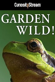Gardens Wild!