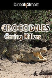 Crocodiles: Caring Killers