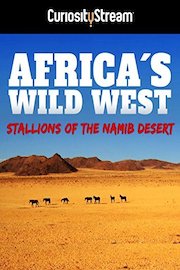 Africa's Wild West: Stallions Of The Namib Desert