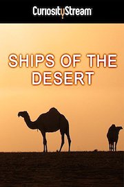 Ships Of The Desert poster