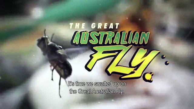 Watch The Great Australian Fly Online