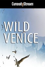 Wild Venice