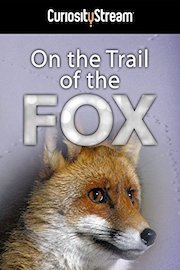 On The Trail Of The Fox
