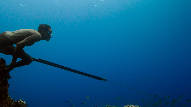 Watch Jago: A Life Underwater Online