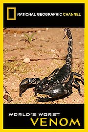 World's Worst Venom