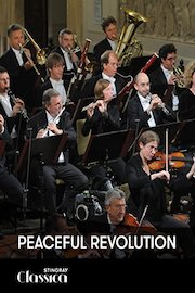 Peaceful Revolution poster