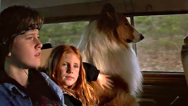 Watch Lassie Online