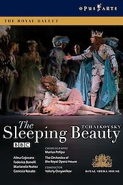 Sleeping Beauty - Sleeping Beauty Act I poster