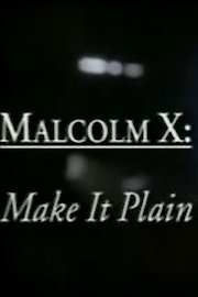 Malcolm X: Make It Plain poster