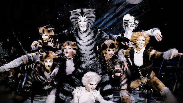 Watch Cats Online