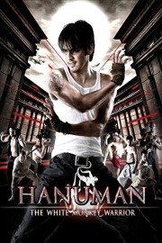 Hanuman poster