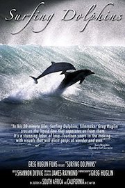 Surfing Dolphins poster