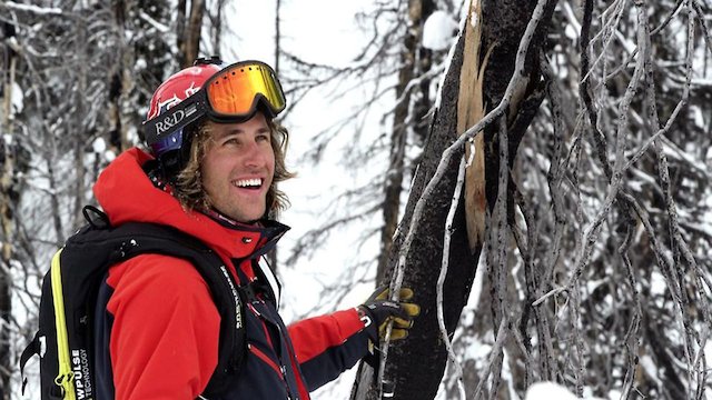 Watch Let's Go Get Small Online