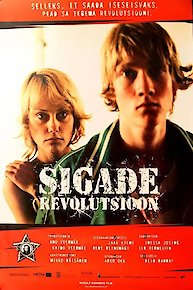 Revolution 2004
