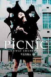 Picnic poster