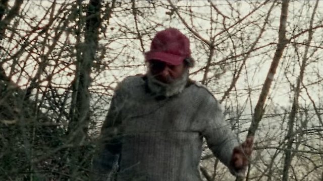 Watch Il Solengo Online