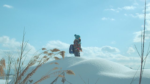 Watch The Night I Swam Online