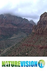 Mystic Canyons