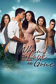 When The Love Is Gone poster