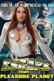 Primal Pleasure Station poster