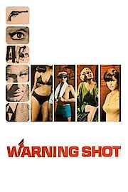 WARNING SHOT poster