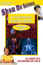 A Trip through the Circulatory System