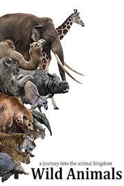 Wild Animals - A journey into the animal kingdom