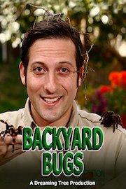 Backyard Bugs poster