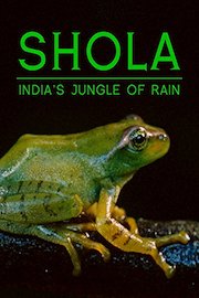 Shola: India's Jungle of Rain