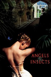 Angels & Insects poster