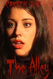 The Alley poster