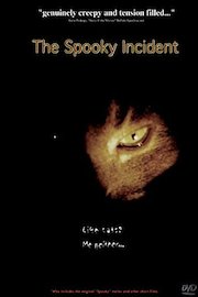 THE SPOOKY INCIDENT