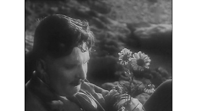 Watch The Ghost That Never Returns Online