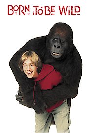 Born to Be Wild poster