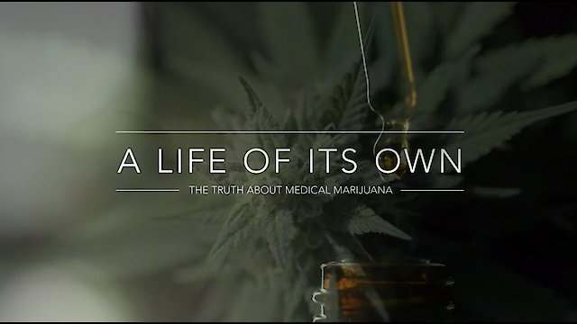 Watch A Life of Its Own: The Truth About Medical Marijuana Online