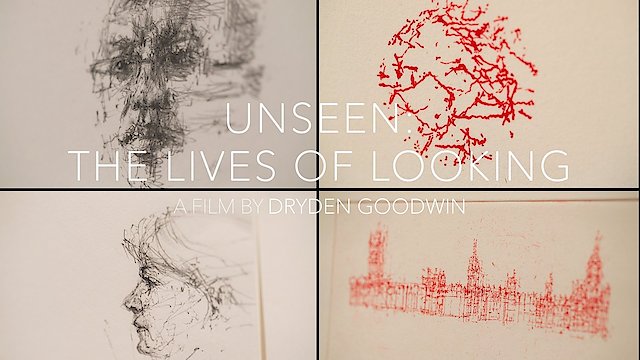Watch Unseen: The Lives of Looking Online