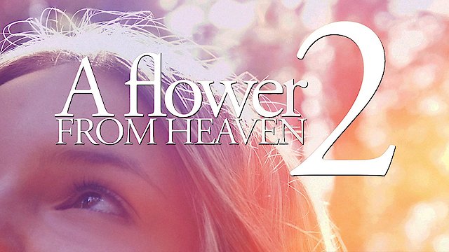 Watch A Flower From Heaven 2 Online