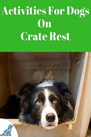 Activities For Dogs On Crate Rest poster