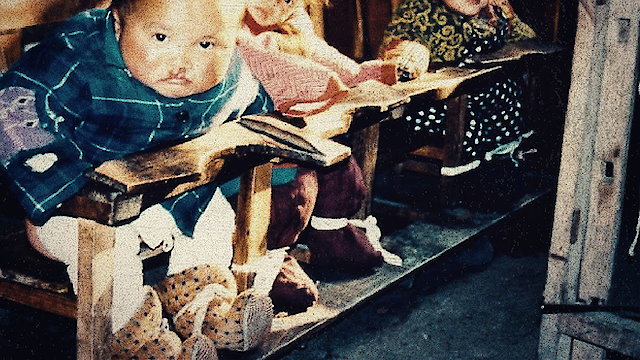 Watch The Dying Rooms Online