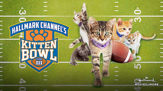 Watch Kitten Bowl III Online