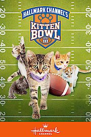 Kitten Bowl III