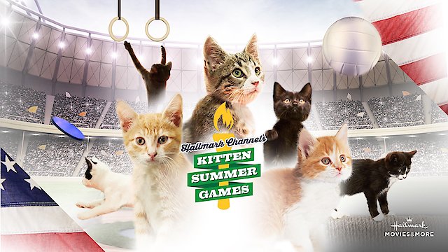 Watch Kitten Summer Games Online