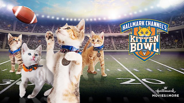 Watch Kitten Bowl V Online