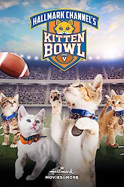 Kitten Bowl V poster
